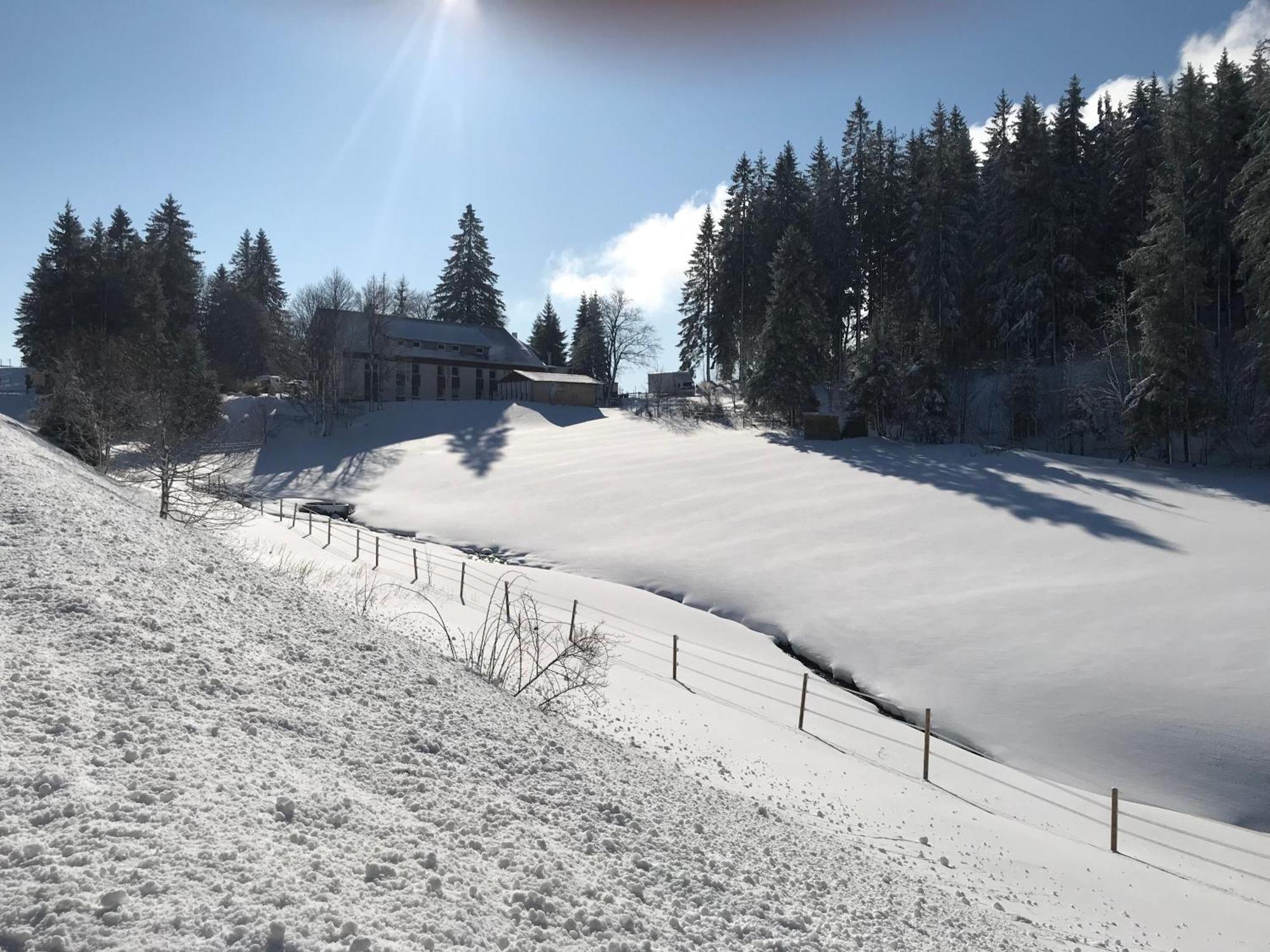 Waldhotel Auerhahn "Hochkopfhaus" Todtnau Kültér fotó