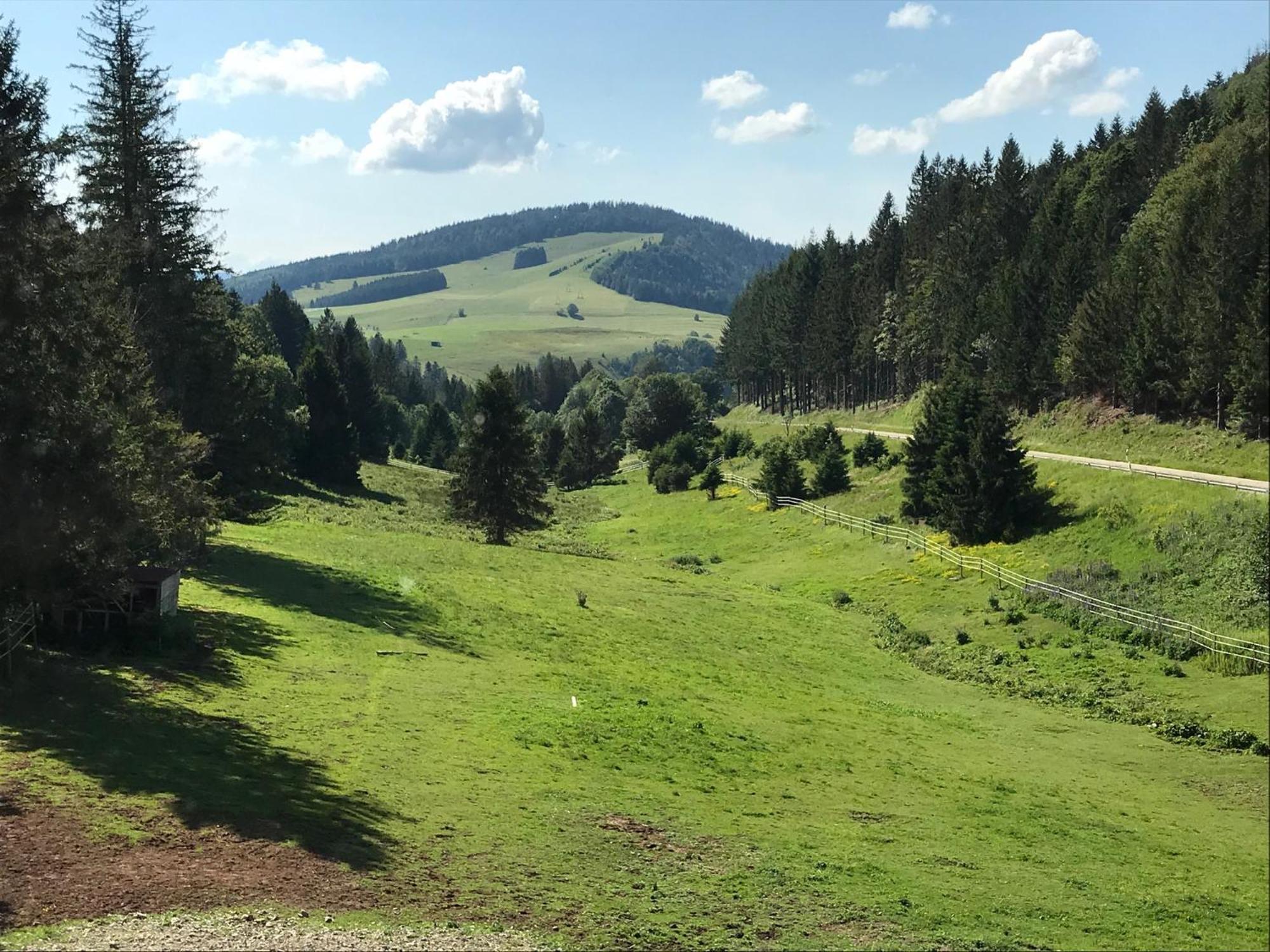 Waldhotel Auerhahn "Hochkopfhaus" Todtnau Kültér fotó