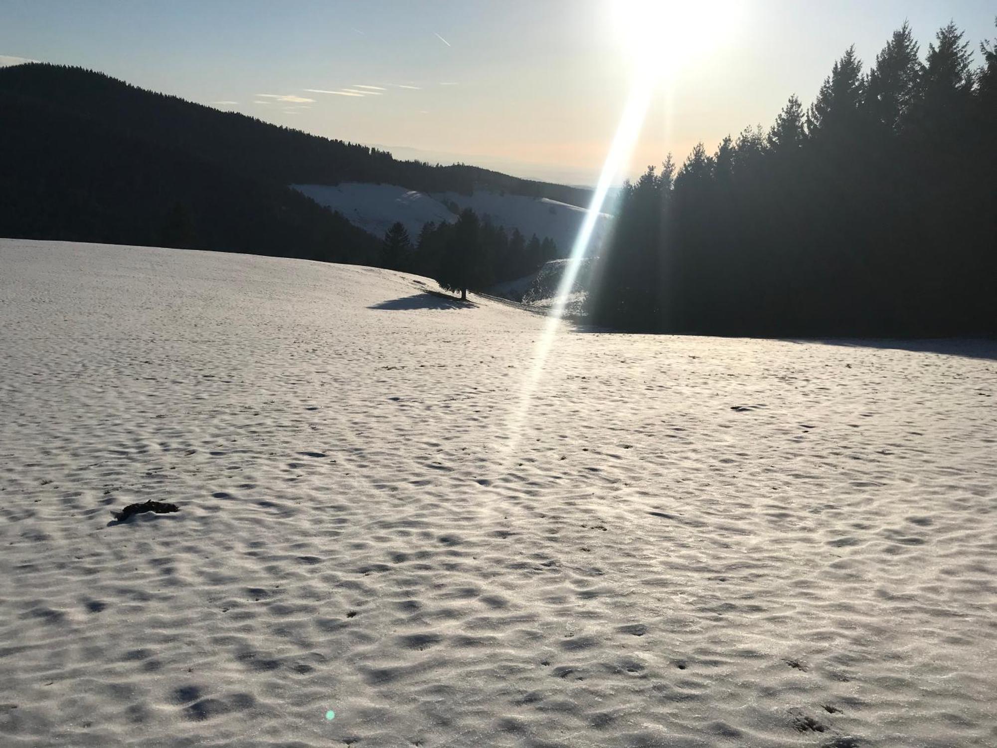 Waldhotel Auerhahn "Hochkopfhaus" Todtnau Kültér fotó
