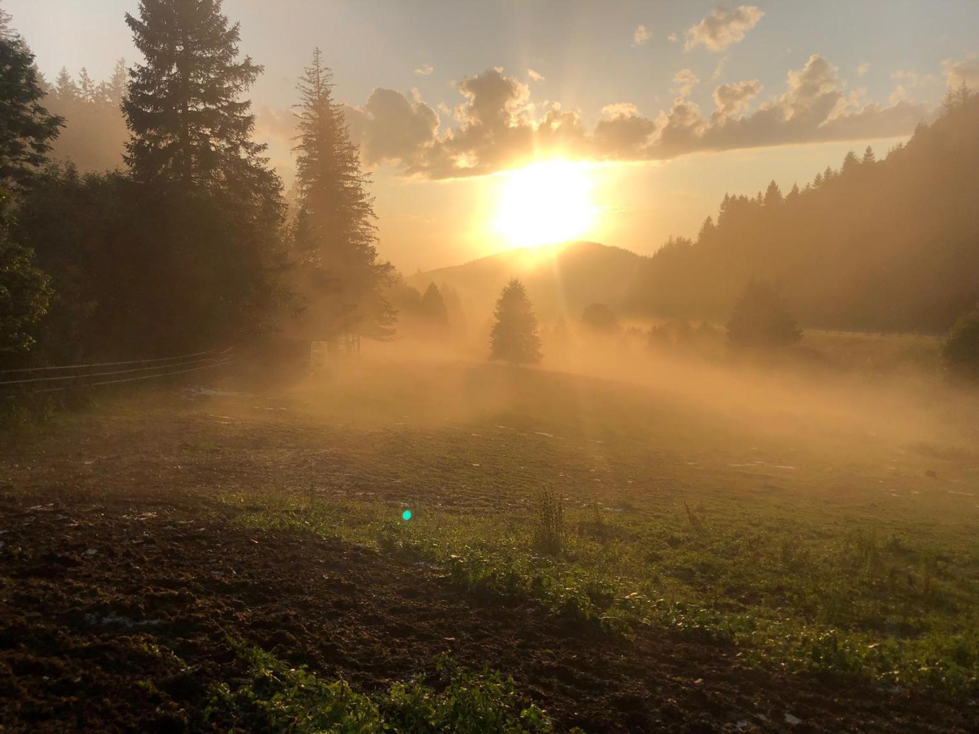 Waldhotel Auerhahn "Hochkopfhaus" Todtnau Kültér fotó