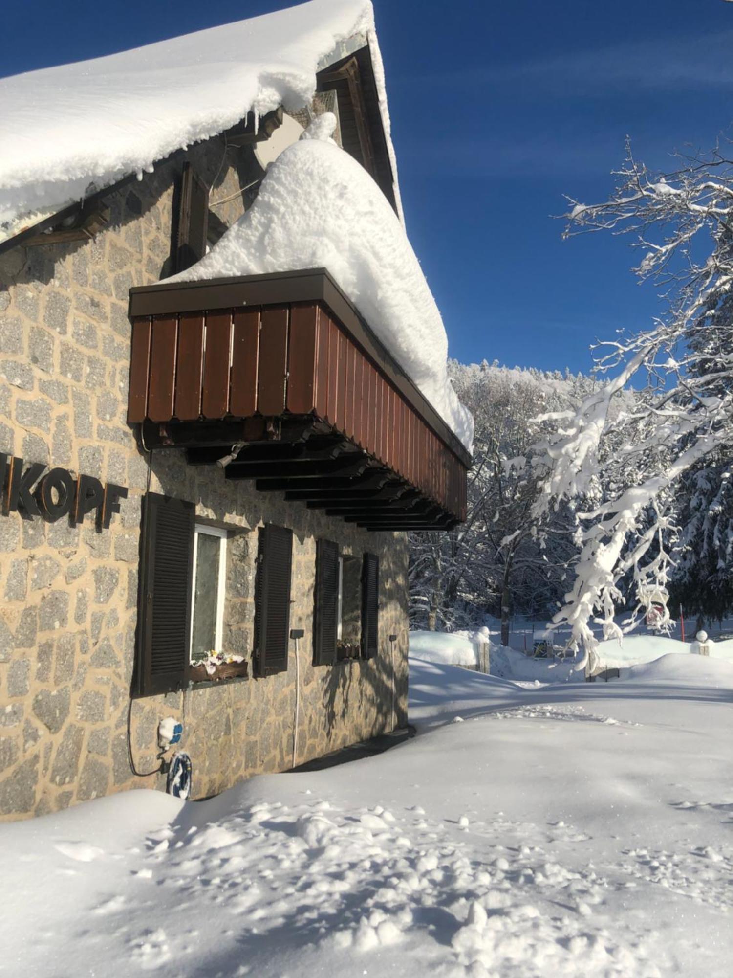 Waldhotel Auerhahn "Hochkopfhaus" Todtnau Kültér fotó